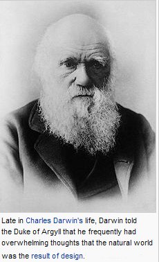 darwin believed in design
