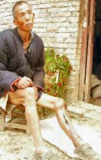 brother Hu