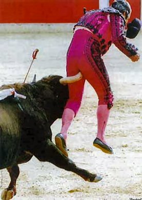 bull fighter